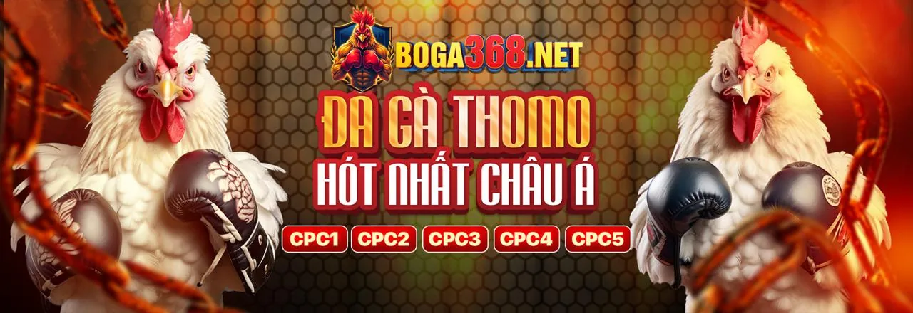 Hướng Dẫn Đăng Nhập KK98 Chi Tiết
